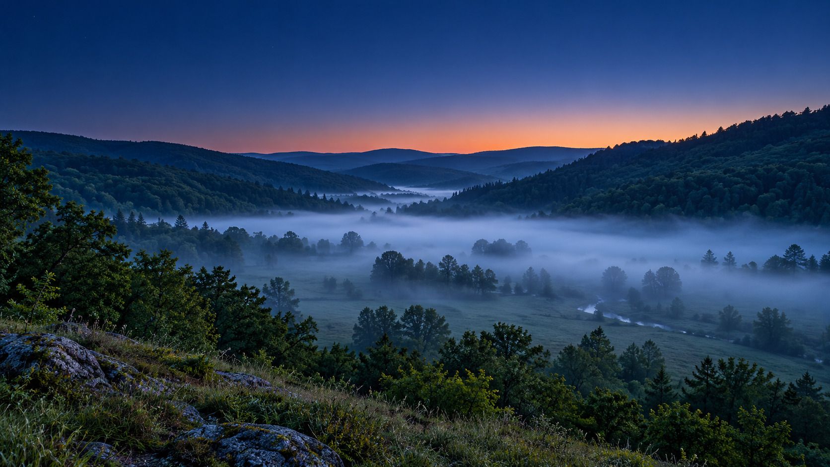 Redaktionelle Illustration von flachem Talnebel vor Sonnenaufgang, mit teilweise verdeckten Bäumen und klaren bewaldeten Hängen darüber